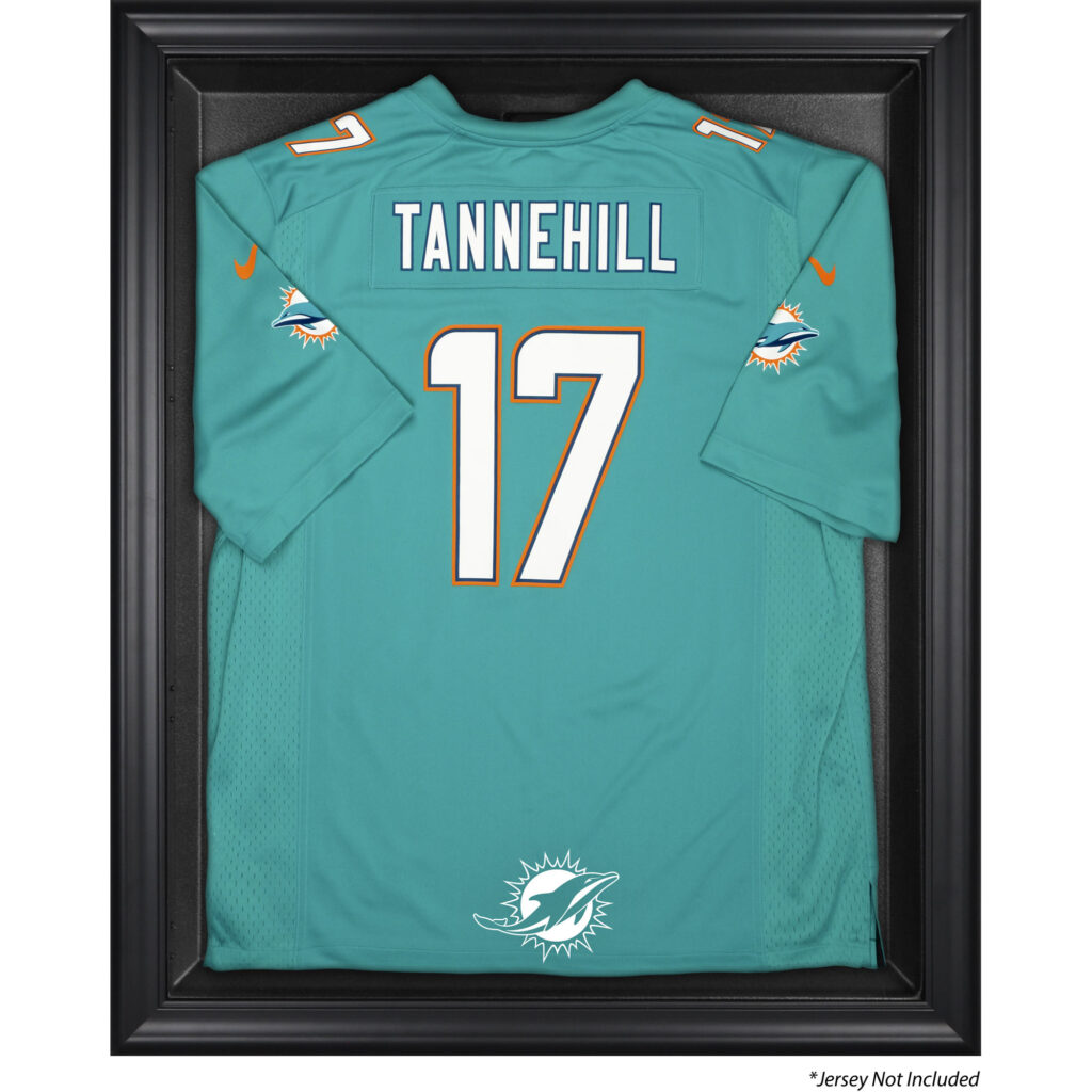 Best Dolphins Collectibles 2026